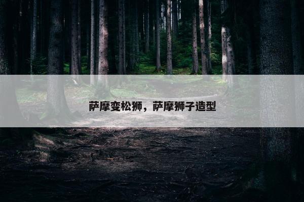 萨摩变松狮，萨摩狮子造型