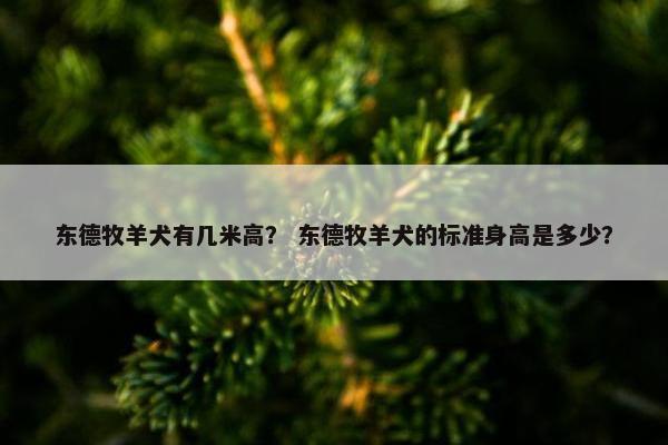 东德牧羊犬有几米高？ 东德牧羊犬的标准身高是多少？