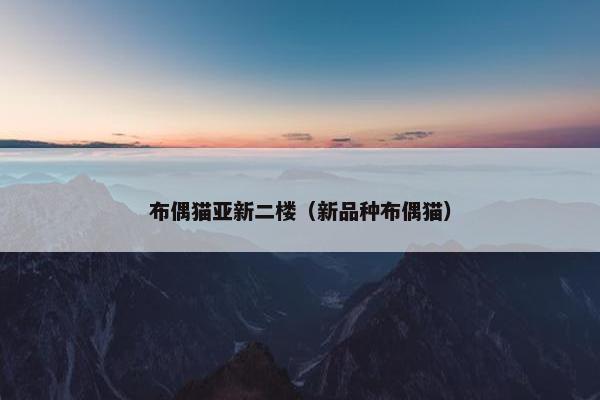 布偶猫亚新二楼（新品种布偶猫）