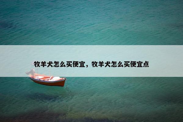 牧羊犬怎么买便宜，牧羊犬怎么买便宜点