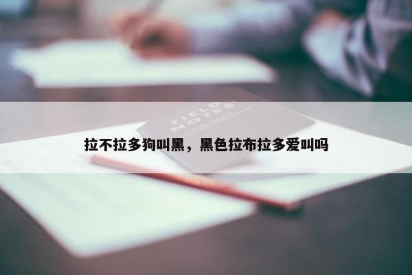 拉不拉多狗叫黑，黑色拉布拉多爱叫吗