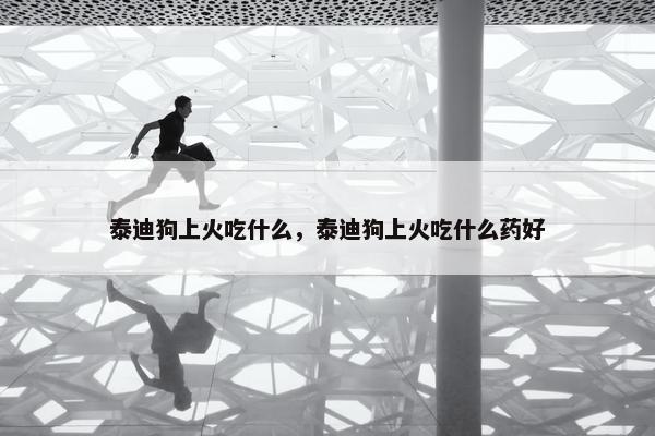 泰迪狗上火吃什么，泰迪狗上火吃什么药好