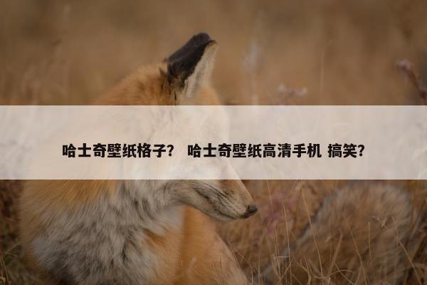 哈士奇壁纸格子？ 哈士奇壁纸高清手机 搞笑？