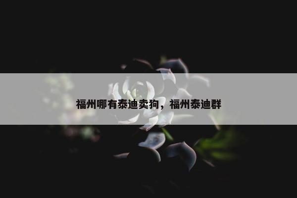 福州哪有泰迪卖狗，福州泰迪群