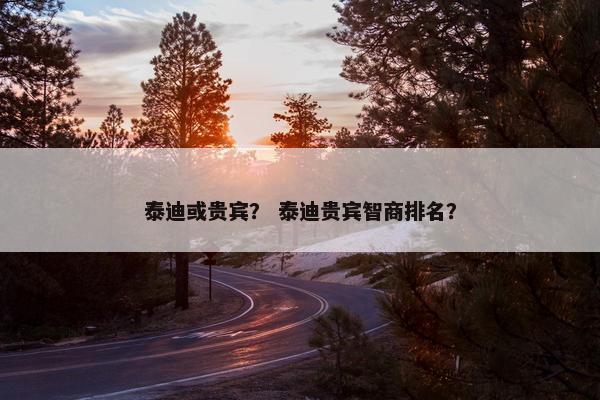 泰迪或贵宾？ 泰迪贵宾智商排名？