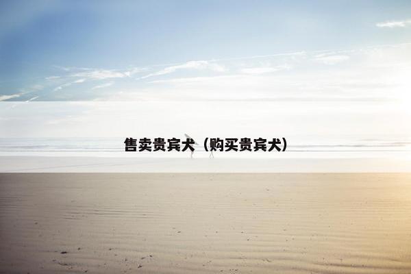 售卖贵宾犬（购买贵宾犬）