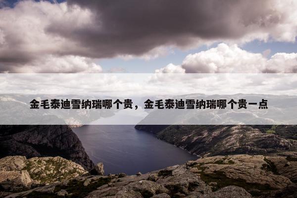 金毛泰迪雪纳瑞哪个贵，金毛泰迪雪纳瑞哪个贵一点