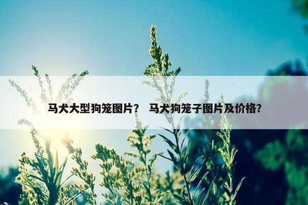 马犬大型狗笼图片？ 马犬狗笼子图片及价格？