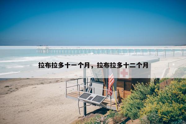 拉布拉多十一个月，拉布拉多十二个月