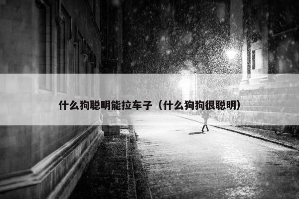 什么狗聪明能拉车子（什么狗狗很聪明）