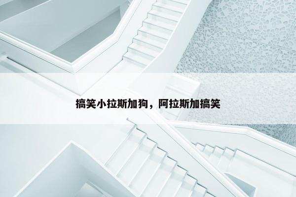 搞笑小拉斯加狗，阿拉斯加搞笑