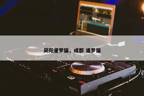 简阳暹罗猫，成都 暹罗猫