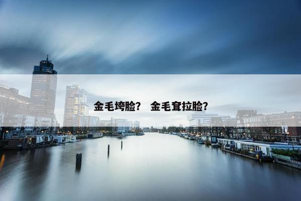 金毛垮脸？ 金毛耷拉脸？