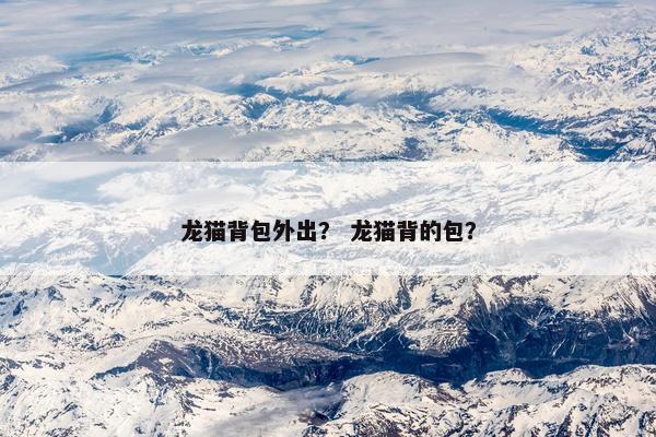 龙猫背包外出？ 龙猫背的包？