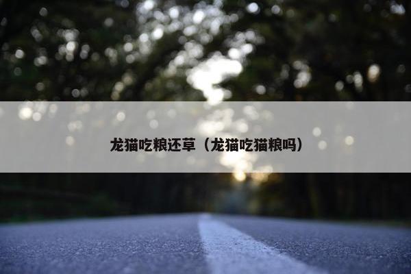 龙猫吃粮还草（龙猫吃猫粮吗）