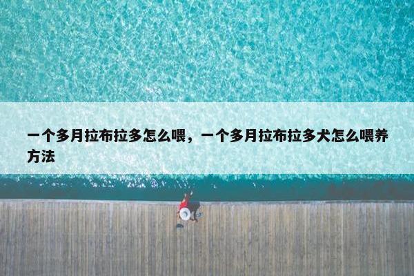 一个多月拉布拉多怎么喂，一个多月拉布拉多犬怎么喂养方法
