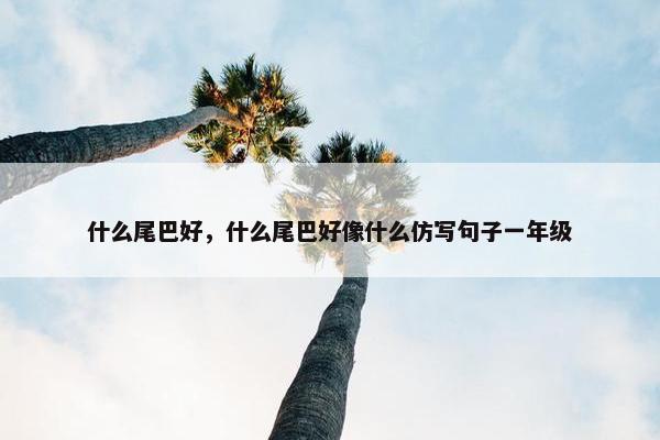 什么尾巴好，什么尾巴好像什么仿写句子一年级