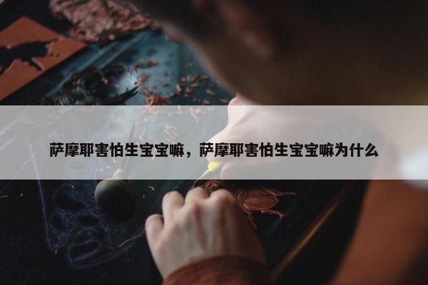 萨摩耶害怕生宝宝嘛，萨摩耶害怕生宝宝嘛为什么