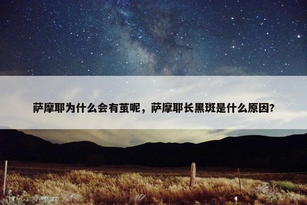 萨摩耶为什么会有茧呢，萨摩耶长黑斑是什么原因?