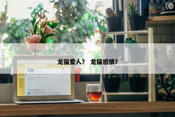 龙猫爱人？ 龙猫感情？
