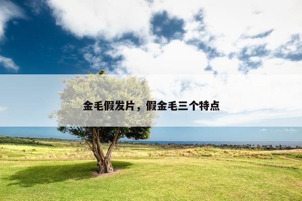 金毛假发片，假金毛三个特点