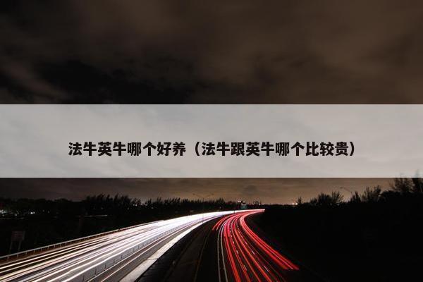法牛英牛哪个好养（法牛跟英牛哪个比较贵）