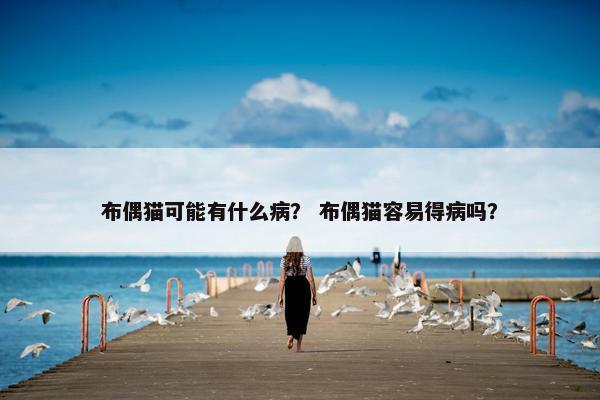 布偶猫可能有什么病？ 布偶猫容易得病吗？
