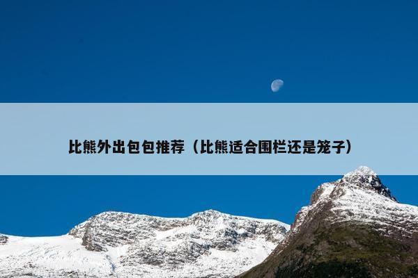 比熊外出包包推荐（比熊适合围栏还是笼子）