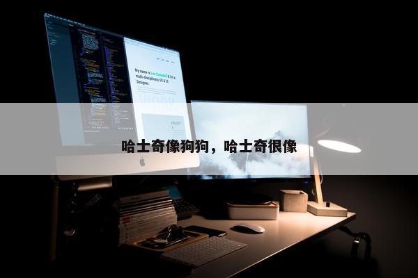 哈士奇像狗狗，哈士奇很像