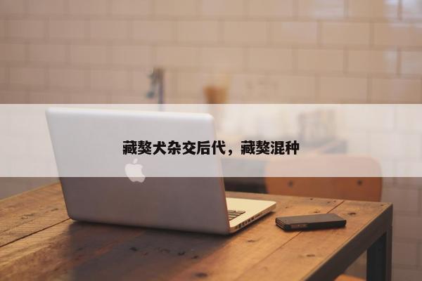 藏獒犬杂交后代，藏獒混种