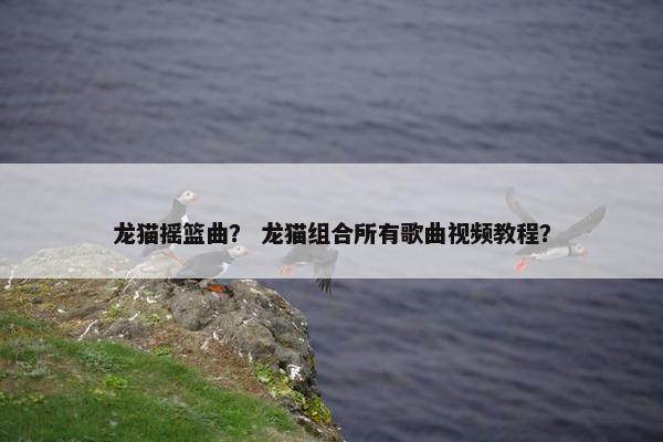 龙猫摇篮曲？ 龙猫组合所有歌曲视频教程？