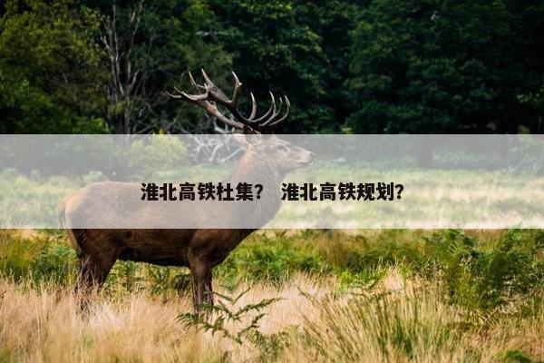 淮北高铁杜集？ 淮北高铁规划？
