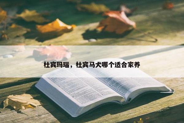 杜宾玛瑙，杜宾马犬哪个适合家养