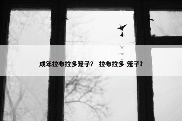 成年拉布拉多笼子？ 拉布拉多 笼子？