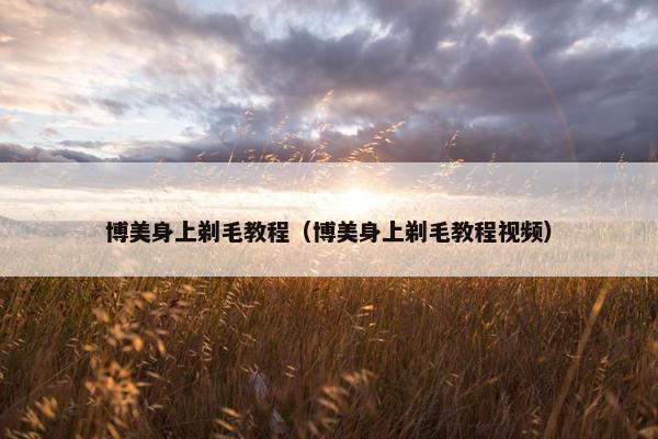 博美身上剃毛教程（博美身上剃毛教程视频）