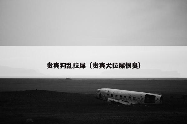 贵宾狗乱拉屎（贵宾犬拉屎很臭）