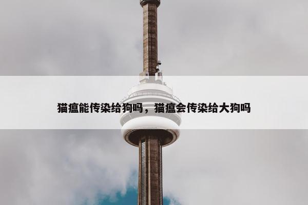 猫瘟能传染给狗吗，猫瘟会传染给大狗吗