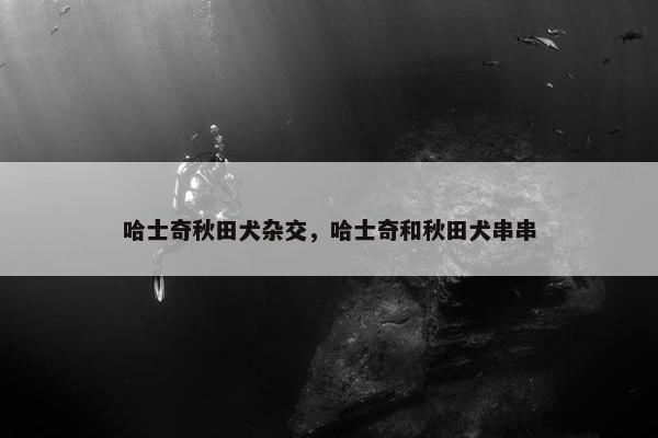 哈士奇秋田犬杂交，哈士奇和秋田犬串串