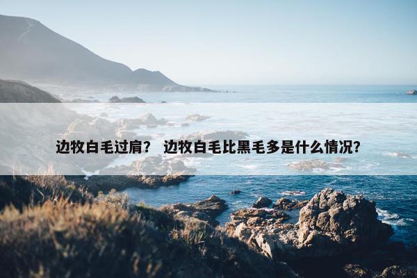 边牧白毛过肩？ 边牧白毛比黑毛多是什么情况？