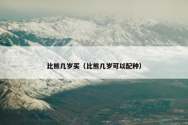 比熊几岁买（比熊几岁可以配种）