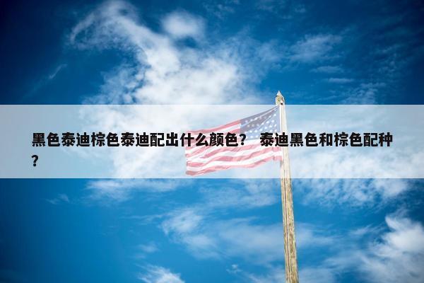 黑色泰迪棕色泰迪配出什么颜色？ 泰迪黑色和棕色配种？