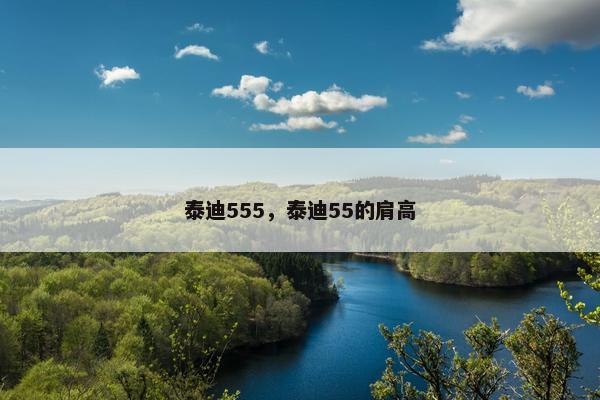 泰迪555，泰迪55的肩高