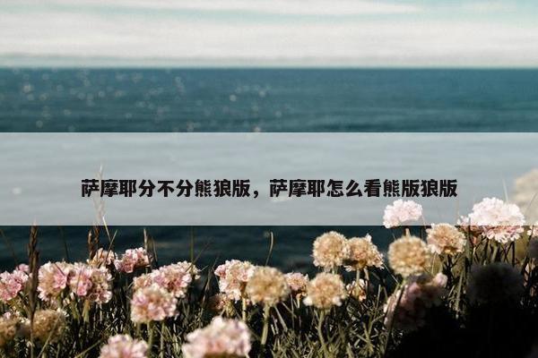 萨摩耶分不分熊狼版，萨摩耶怎么看熊版狼版