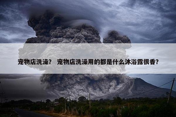 宠物店洗澡？ 宠物店洗澡用的都是什么沐浴露很香？