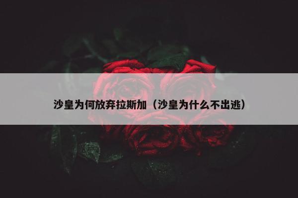沙皇为何放弃拉斯加（沙皇为什么不出逃）