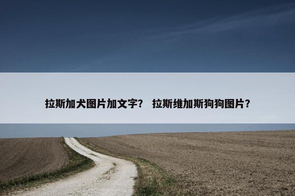 拉斯加犬图片加文字？ 拉斯维加斯狗狗图片？