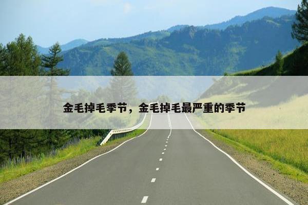 金毛掉毛季节，金毛掉毛最严重的季节