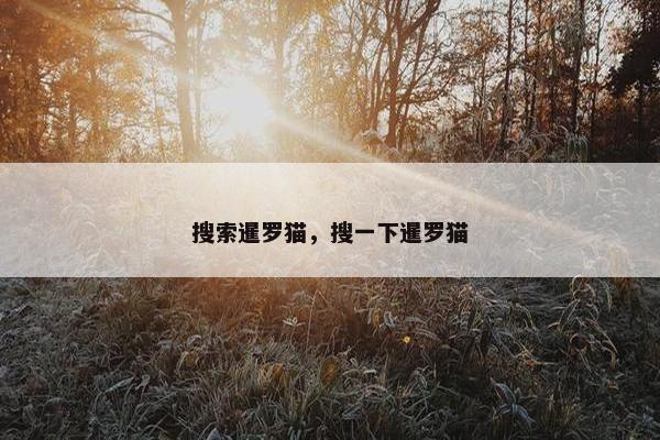 搜索暹罗猫，搜一下暹罗猫
