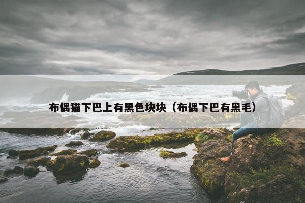 布偶猫下巴上有黑色块块（布偶下巴有黑毛）