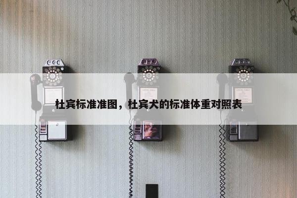 杜宾标准准图，杜宾犬的标准体重对照表